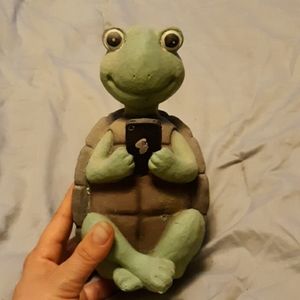 Turtle